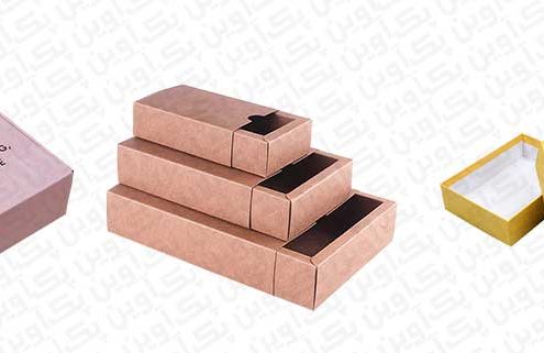بسته بندی جعبه کارتنی