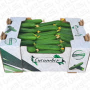 کارتن خیار