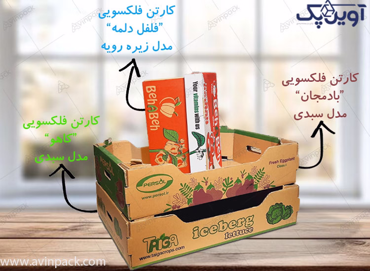 کارتن میوه ارزان قیمت فلکسویی