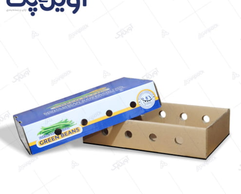 کارتن بسته بندی لوبیا سبز صادراتی