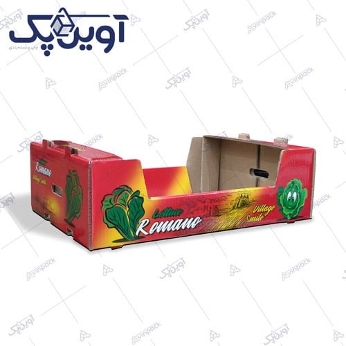کارتن کاهو رومانو