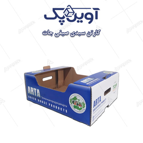 کارتن فلفل دلمه و گوجه فرنگی طرح آبی سفید 01