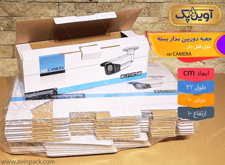 کارتن دوربین مدار بسته